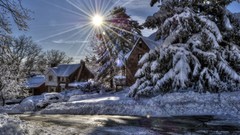 Nature winter sun HDR Photography