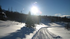 Nature winter sun roads