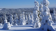 Nature winter TV shows