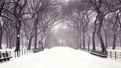 Nature winter TV shows