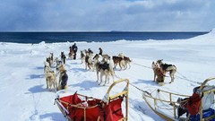 Nature winter TV shows