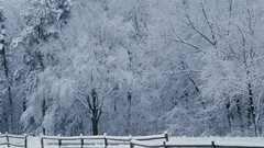 Nature winter TV shows