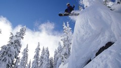 Nature winter TV shows