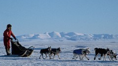 Nature winter TV shows