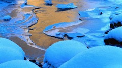 Nature winter TV shows