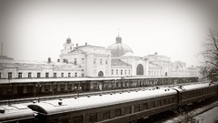 Nature winter white Station trains
