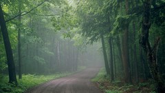 Nature Wisconsin roads Parks doors forests