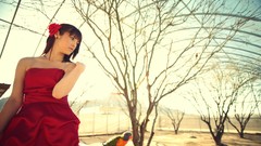 Nature woman Birds Garden red dress brunettes flower in hair 