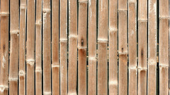 Nature Wood bamboo Textures
