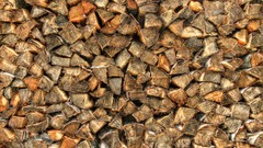 Nature Wood HDR Photography