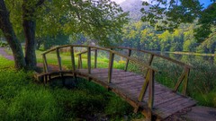 Nature wooden bridge