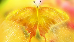 Nature yellow beautiful Glitter