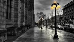 Nature yellow black and white walk street lights selective 