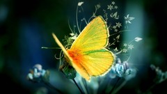 Nature yellow Butterflies