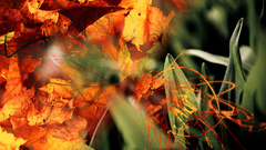 Natureisweird here it is