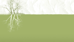 Natures echo and Now