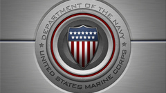 Navy logo need something