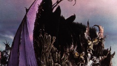 Nazareth hair of The