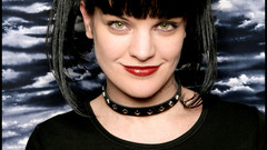 NCIS Celebrity pauley perrette