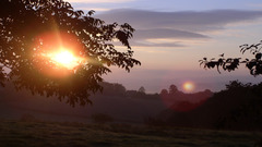 Near poci novice nature