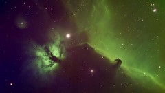 Nebulae outer space Horsehead Nebula