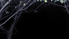 Need some awesome Gothic