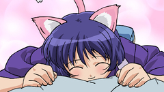 Nekomimi ai yori aoshi