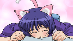Nekomimi ai yori aoshi
