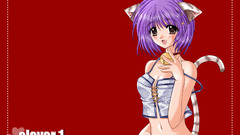 Nekomimi animal ears