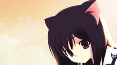 Nekomimi animal ears