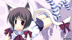 Nekomimi animal ears