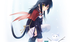 Nekomimi animal ears