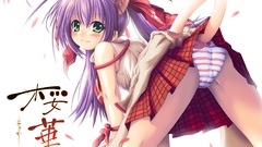 Nekomimi animal ears