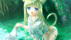 Nekomimi animal ears Anime