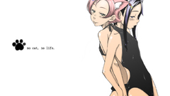 Nekomimi animal ears anime