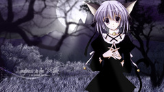 Nekomimi animal ears anime