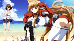 Nekomimi animal ears Asobi