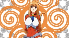 Nekomimi animal ears Asobi