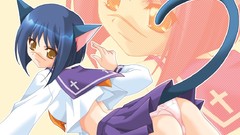 Nekomimi animal ears Busou