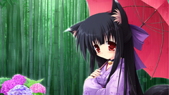 Nekomimi animal ears cat