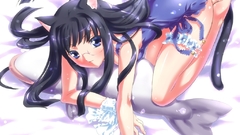 Nekomimi animal ears cat