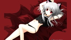 Nekomimi animal ears cat