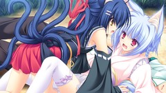 Nekomimi animal ears detached