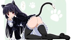 Nekomimi animal ears gokou