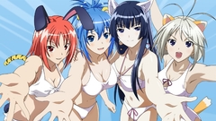 Nekomimi animal ears kampfer