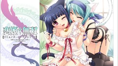 Nekomimi animal ears koihime