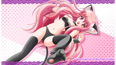 Nekomimi animal ears Louise