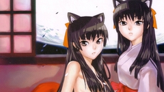 Nekomimi animal ears miko