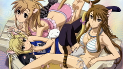 Nekomimi animal ears nyan