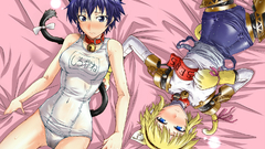 Nekomimi animal ears Persona